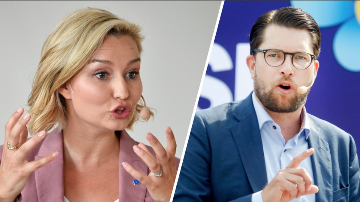 Kristdemokraterna och Sverigedemokraterna samarbetar i Sölvesborg