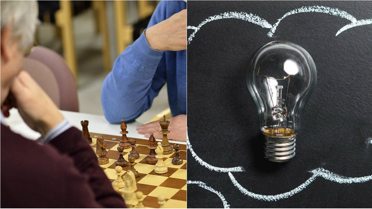 intelligens