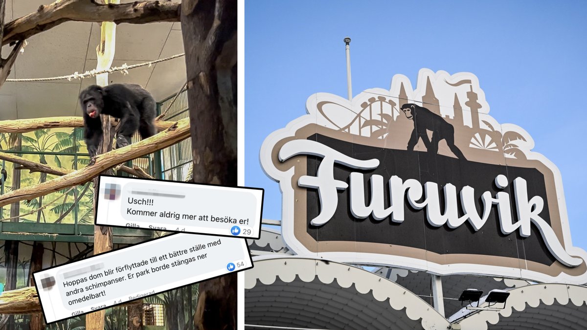 Kritiken mot Furuviksparken fortsätter att hagla.