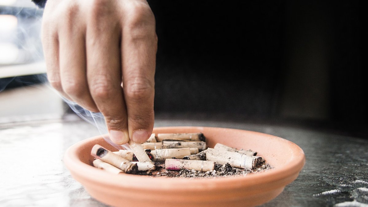 Cigarettfimp, askkopp