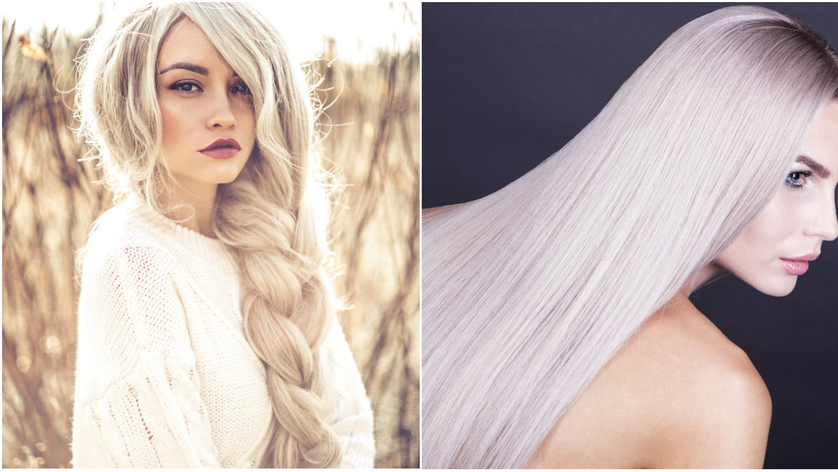 Tjej med lång, blond fläta. Tjej med långt blont hår.