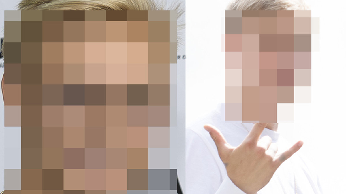 En svensk artist åtalas
