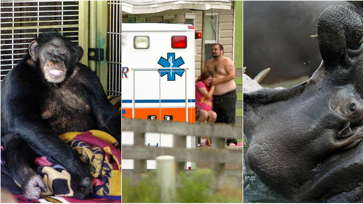 Djur är inte alltid söta och oskydliga. Här är fem personer som blivit dödade av husdjur.