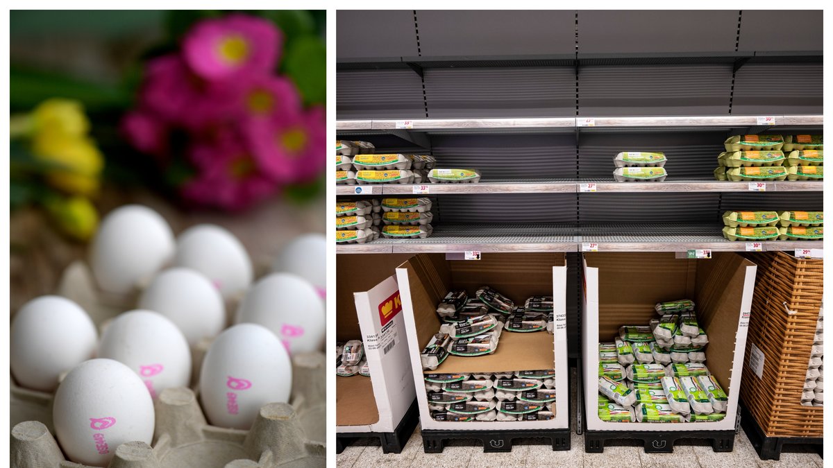 Bilderna är genrebilder.