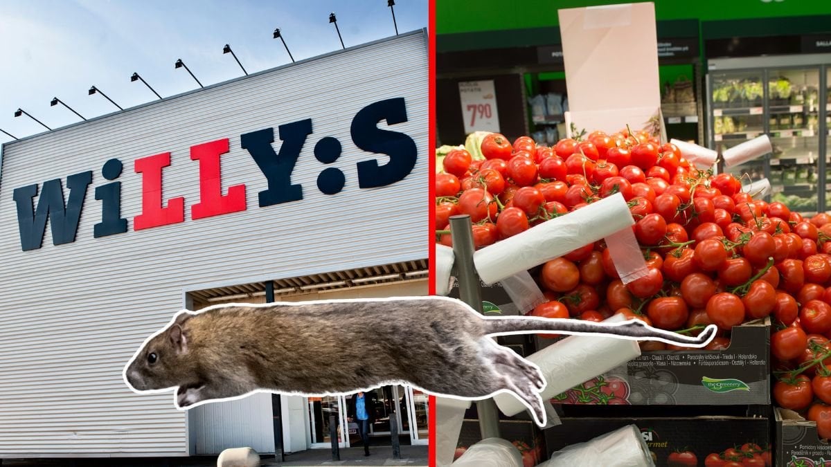 Willys, tomater och en råtta. 