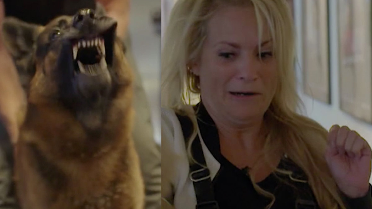 Laila Bagge blir attackerad av hund