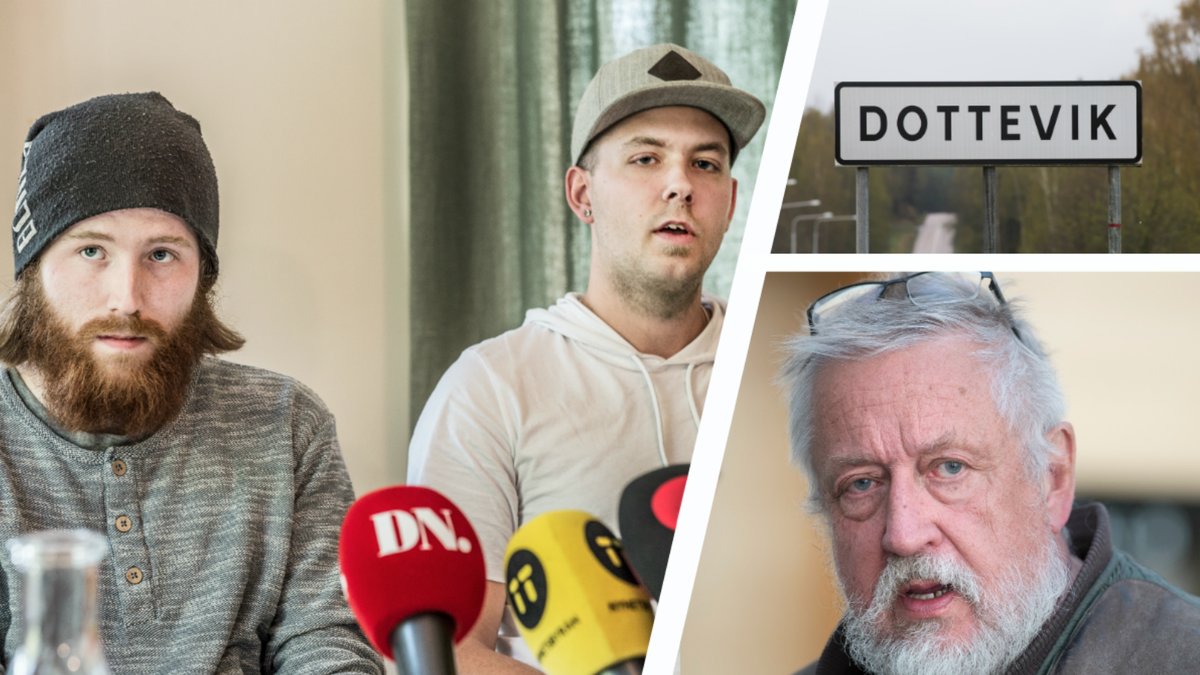 De tidigare anklagade bröderna. Leif GW Persson. Dottevik