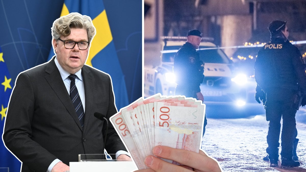 Gunnar Strömmer, poliseer och pengar