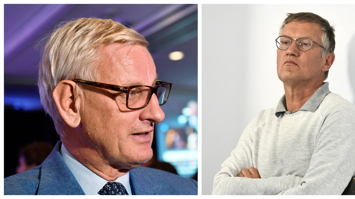 Carl Bildt om Anders Tegnell.