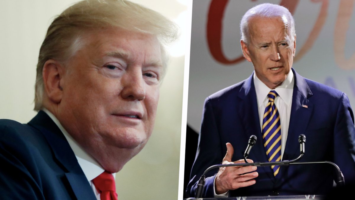 Så har amerikanerna röstat – stat för stat