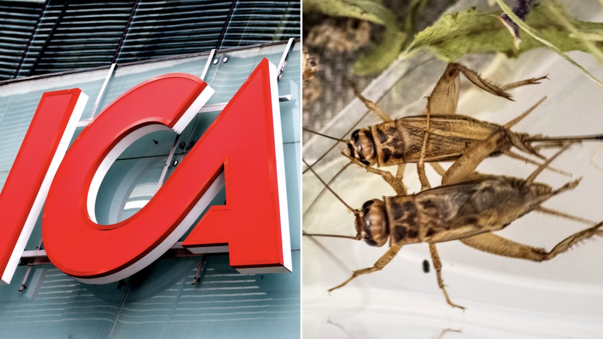 Säljer Ica insekter?