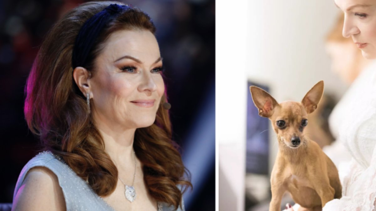 Kishti skaffade sin hund år 2016.