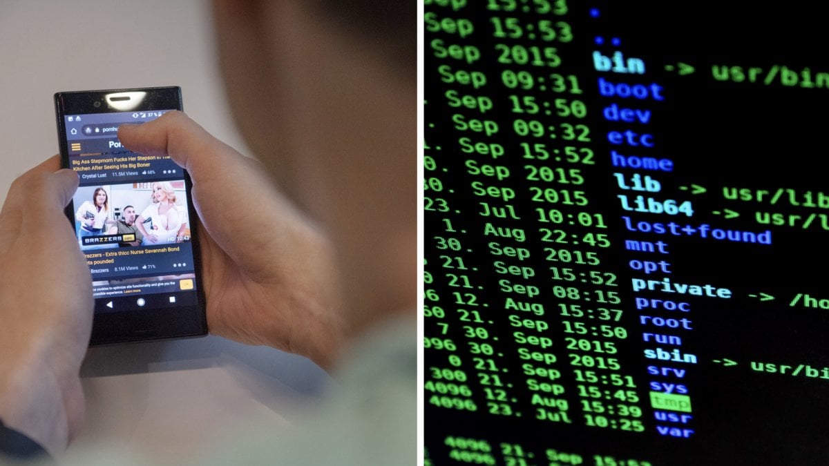 Så kartlägger porrsajter sina kunders porrsurfande: Information kan säljas på darknet