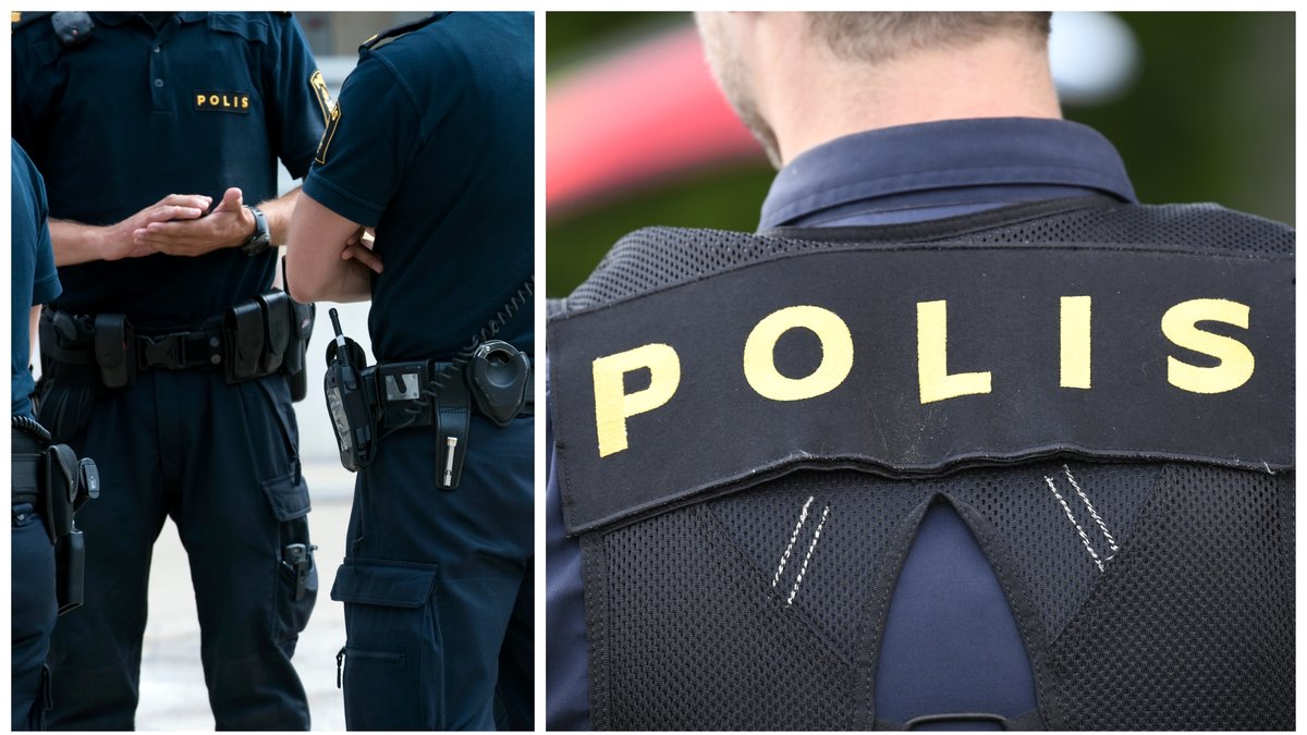 85 personer har dött i samband med polisingripanden under de senaste tio åren.