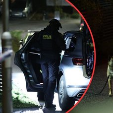 polis och polisbil och hund