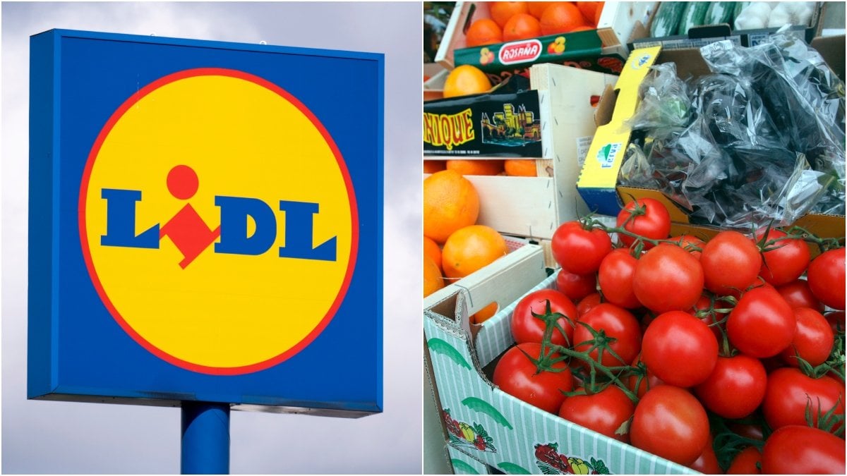 Lidl ska börja egenodlade tomater. 