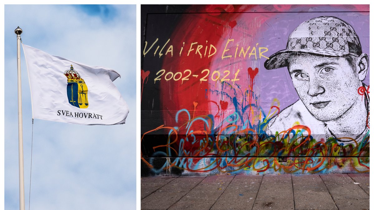 Domen mot Yasin och Haval fastställs i hovrätten.