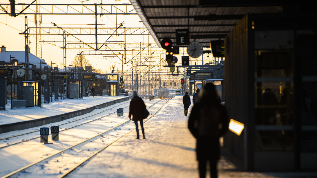Genrebild