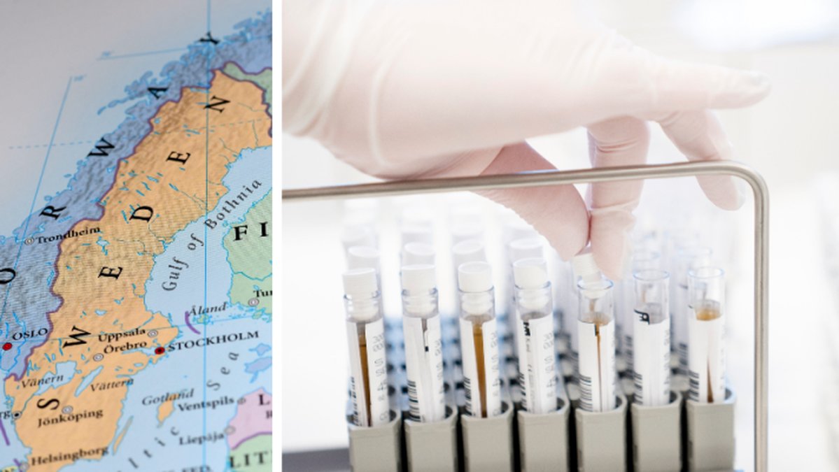Här är regionerna där den brittiska coronavarianten dominerar.
