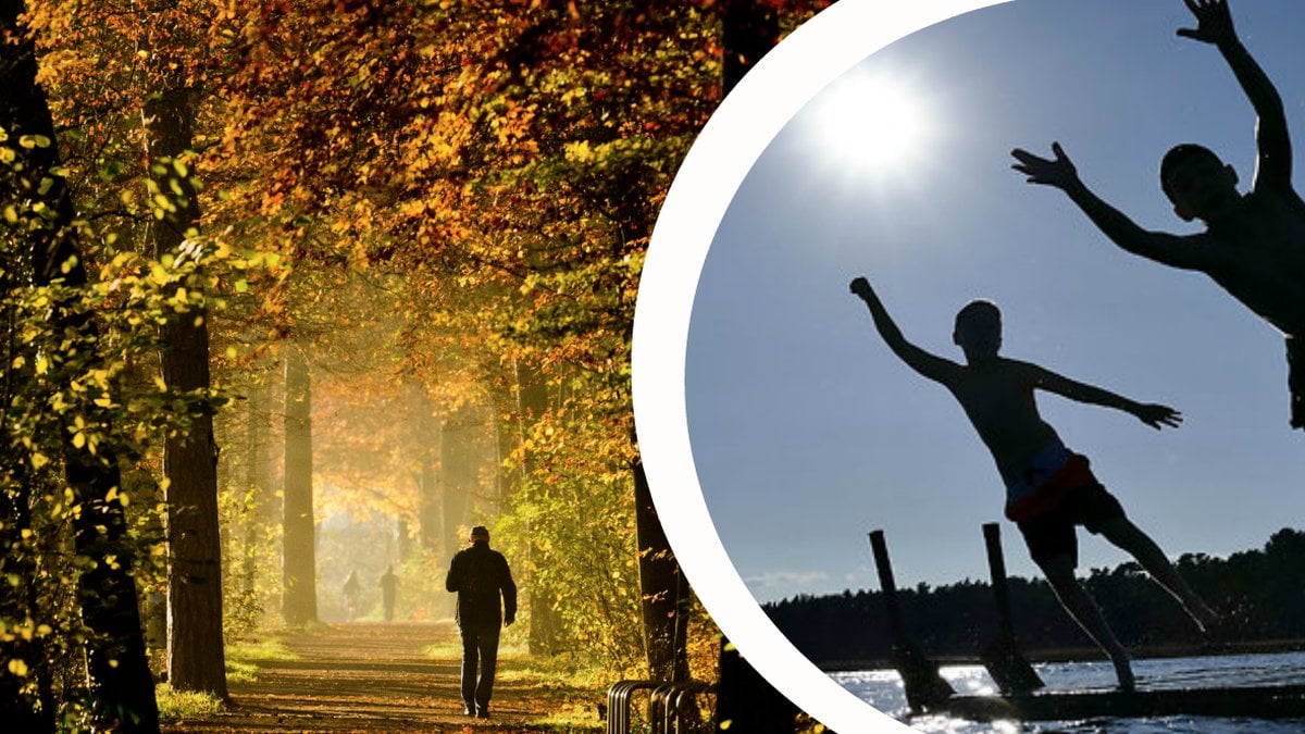 Barn som hoppar ner i vattnet och man som promenerar i skogen