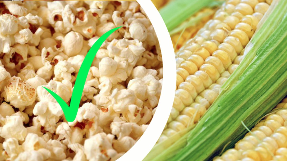 Popcorn, majskolv