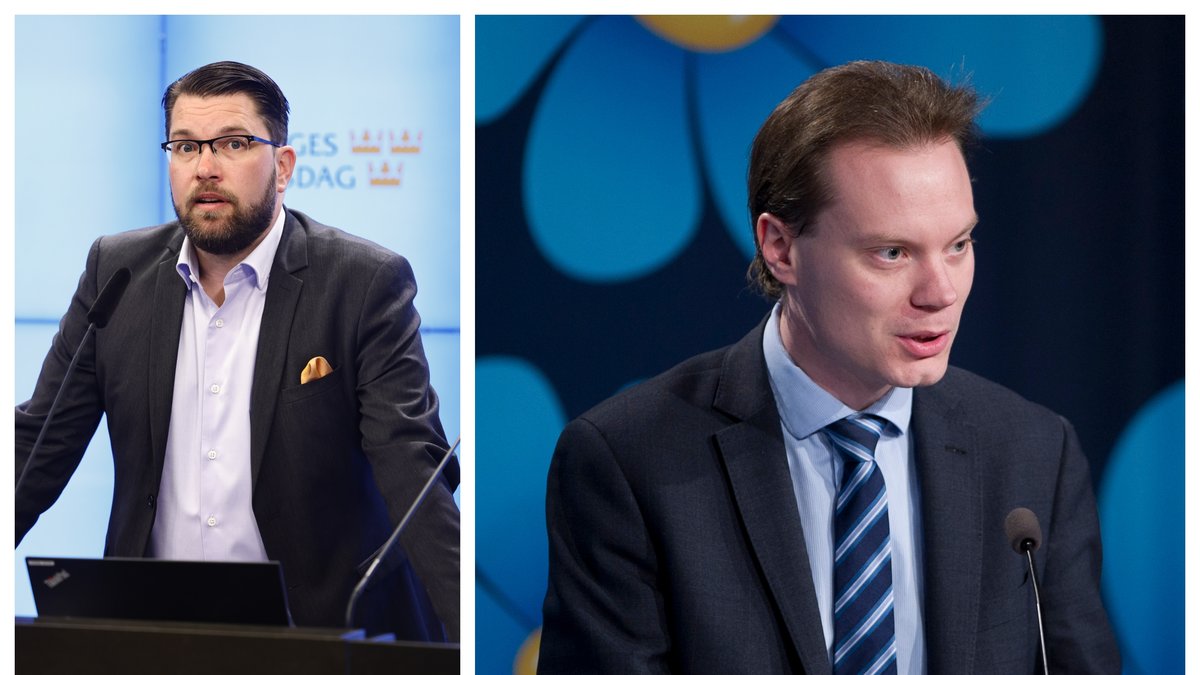 Sverigedemokraterna släppte en vitbok om partiets historia.