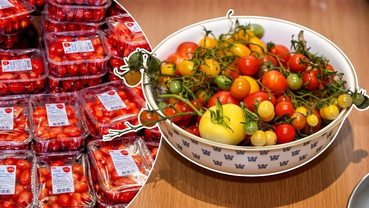 Bilder på små tomater.