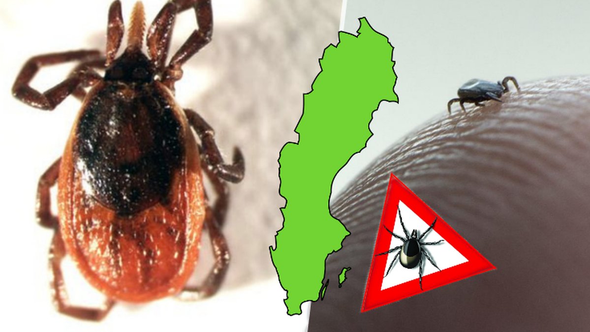 Sverige