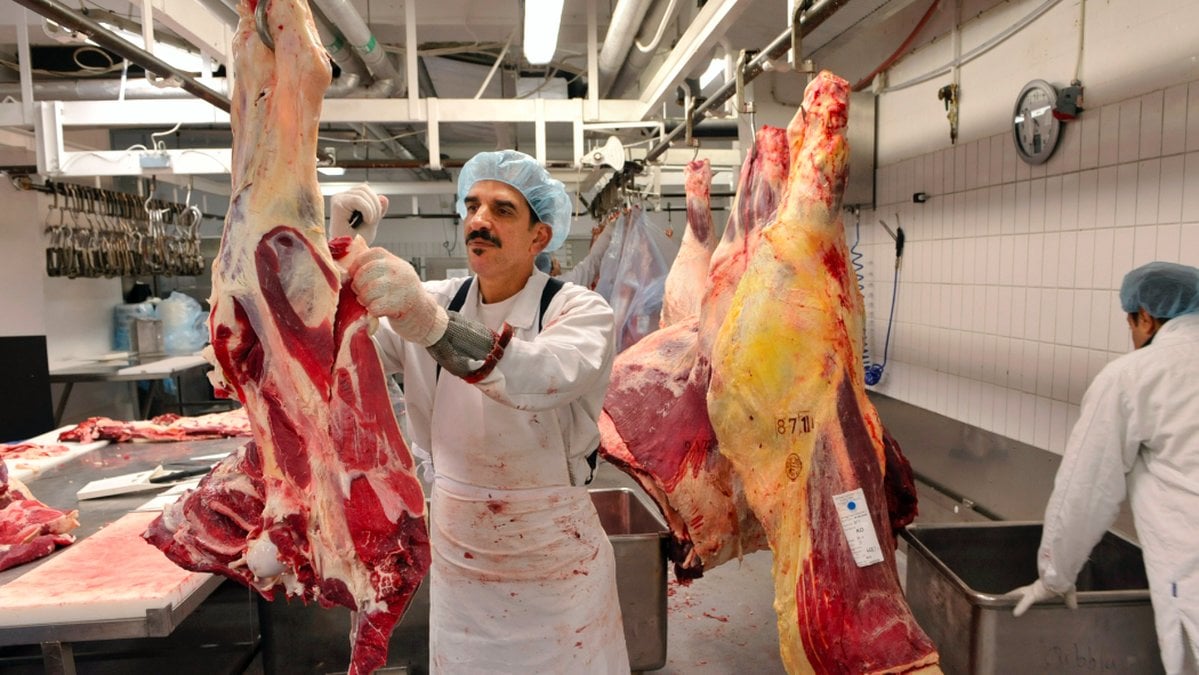 En man på ett halal-slakteri