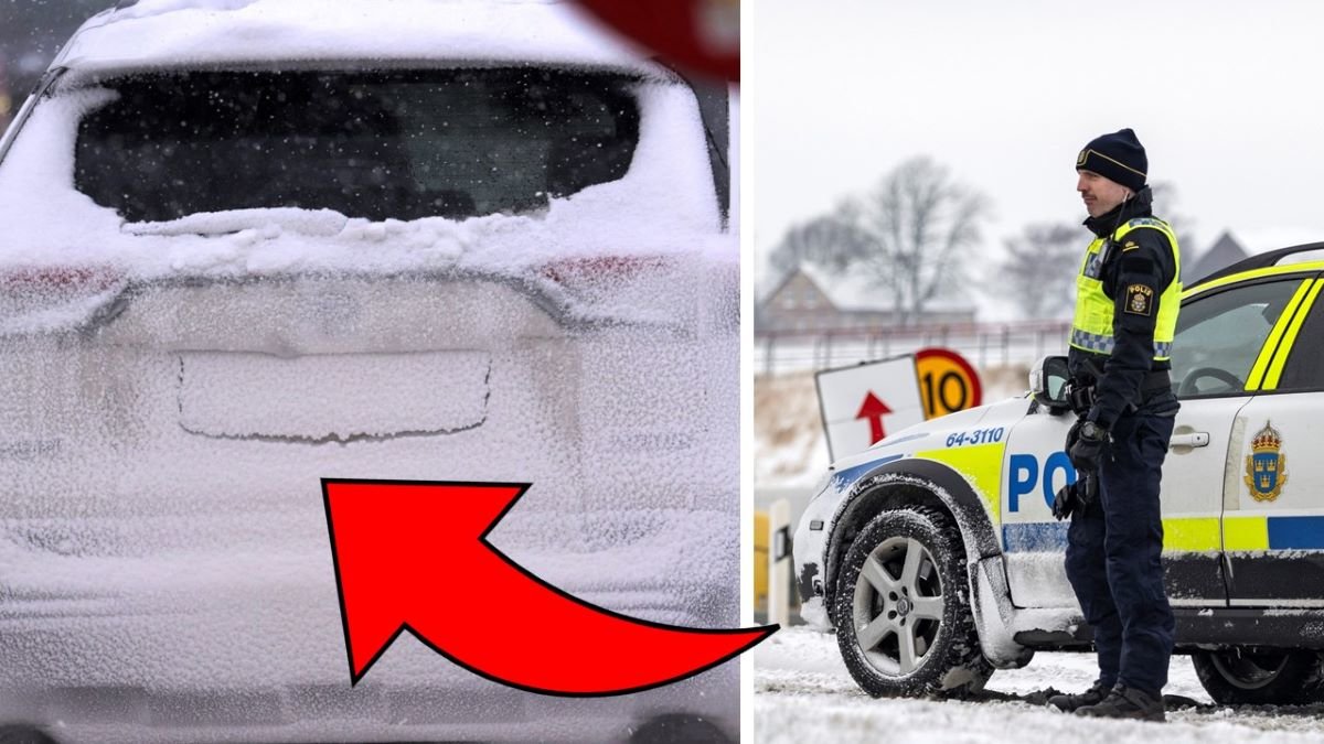 regplaten sno