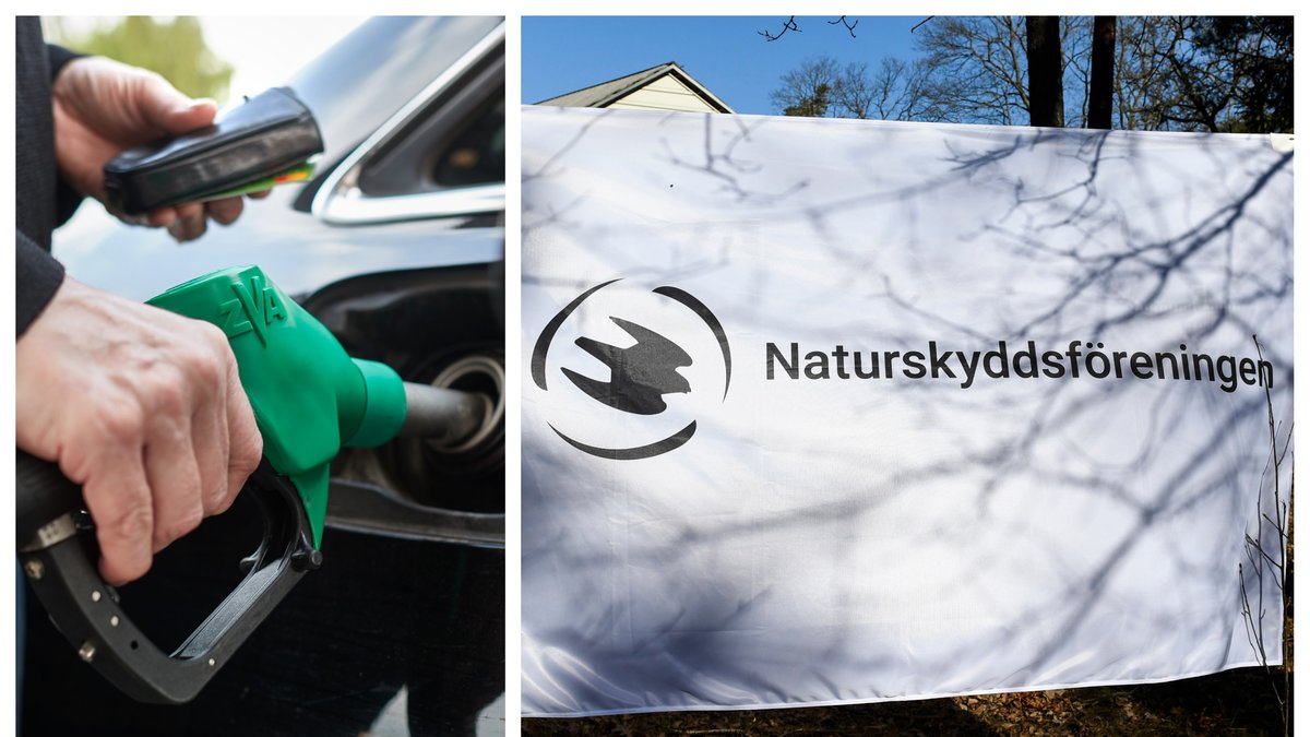 Naturskyddsföreningen vill förbjuda fossila drivmedel från 2030.
