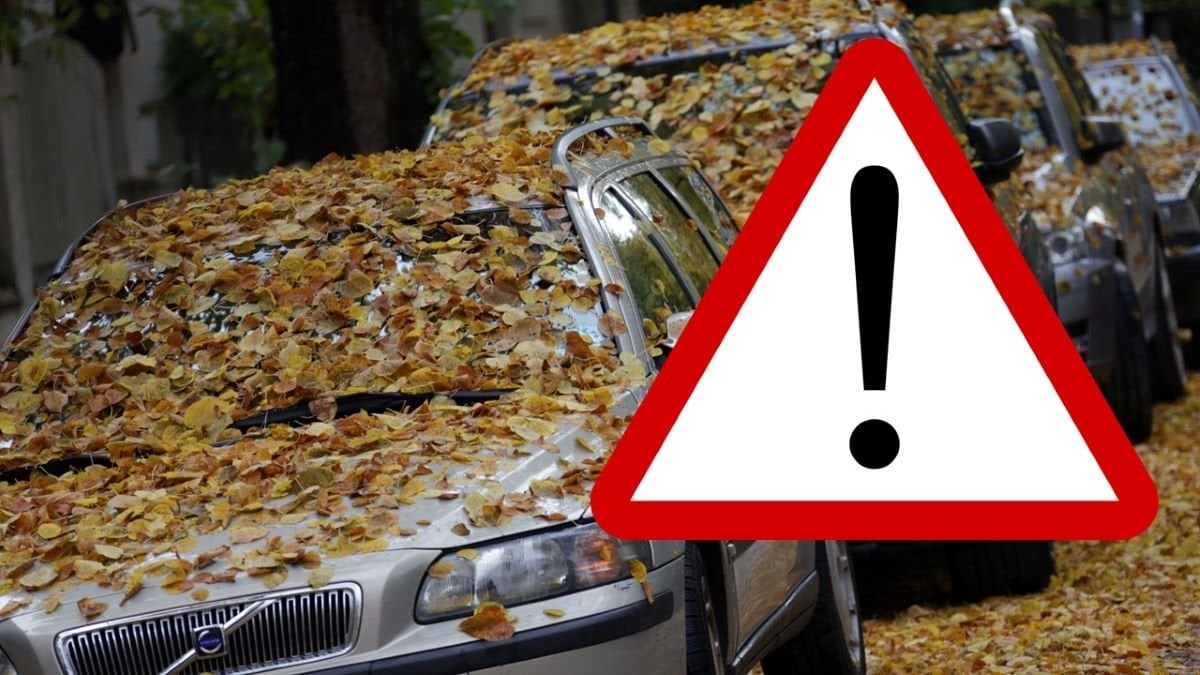 Bilen hosten 