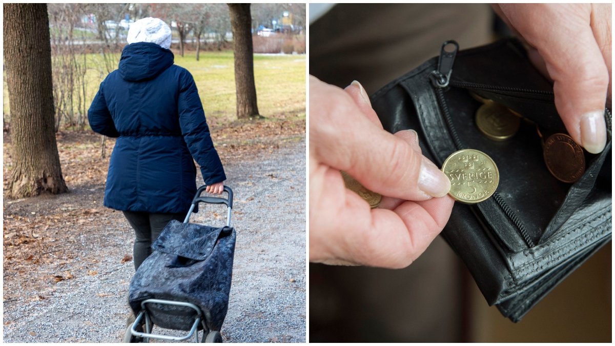 Landets äldre kan inte puta ut ännu. Många får nog dra ner på matinköpen, spår PRO i en ny undersökning.