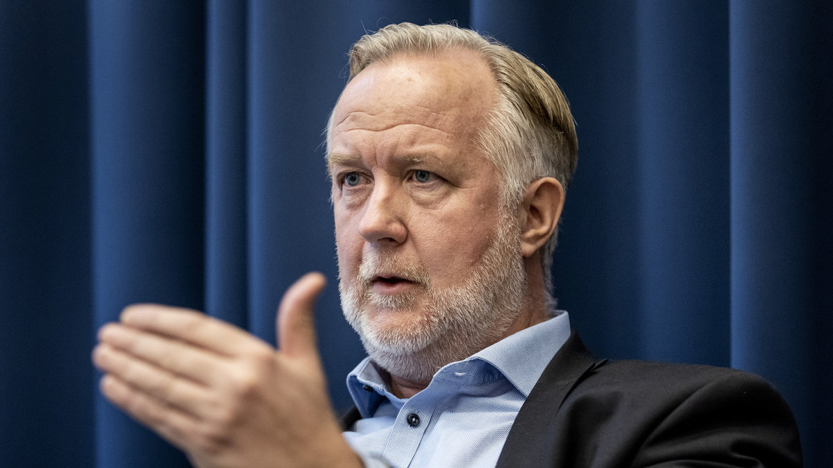 Regeringen vill införa obligatorisk Sverigekurs