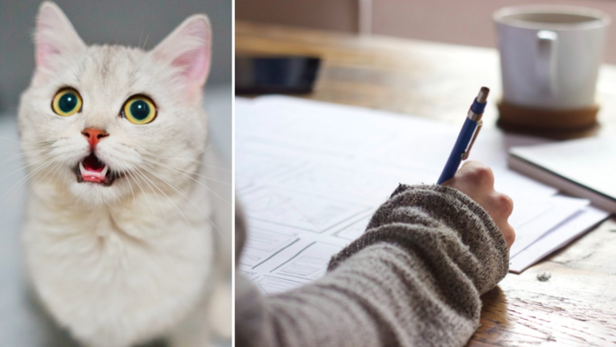 Nya kattlagen börjar gälla från och med 1 januari 2023.