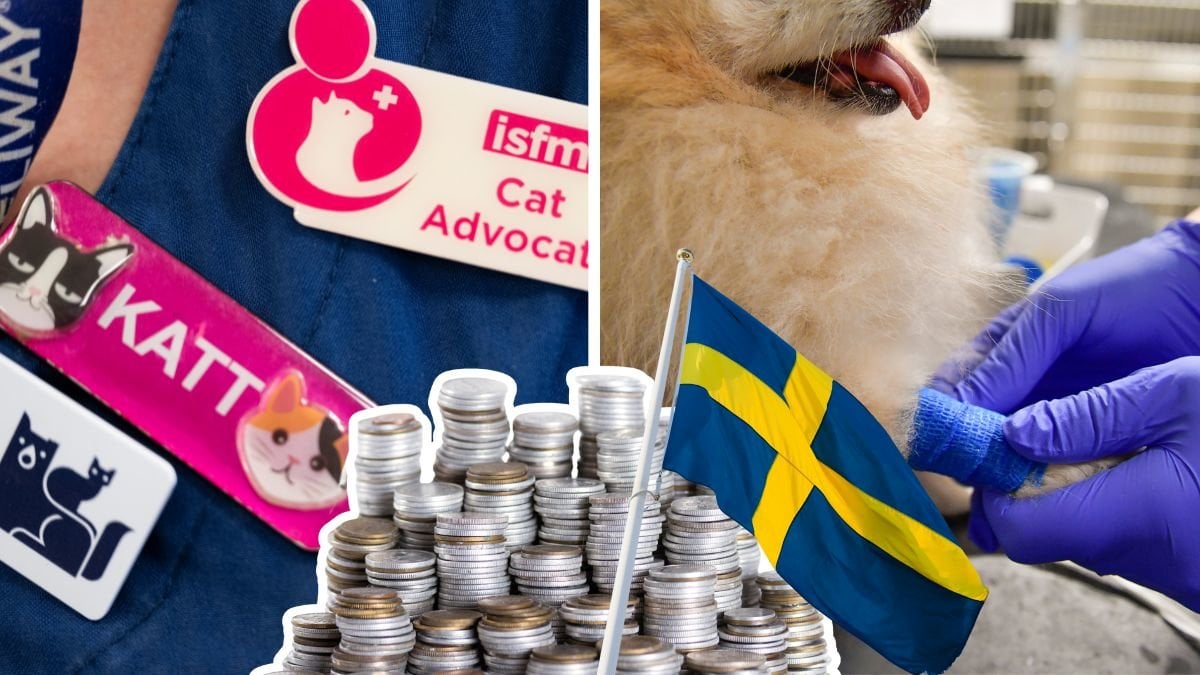 Veterinär och hund.