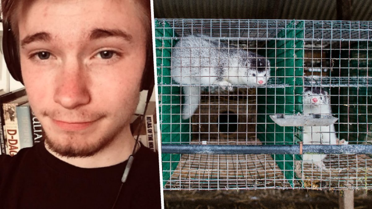 Olle Pohlin kritiserar djuskyddslagen.