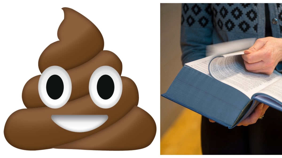 Domare fick bajs kastat mot sig i rättssalen.