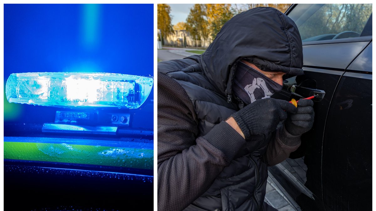 Bilderna är genrebilder.
