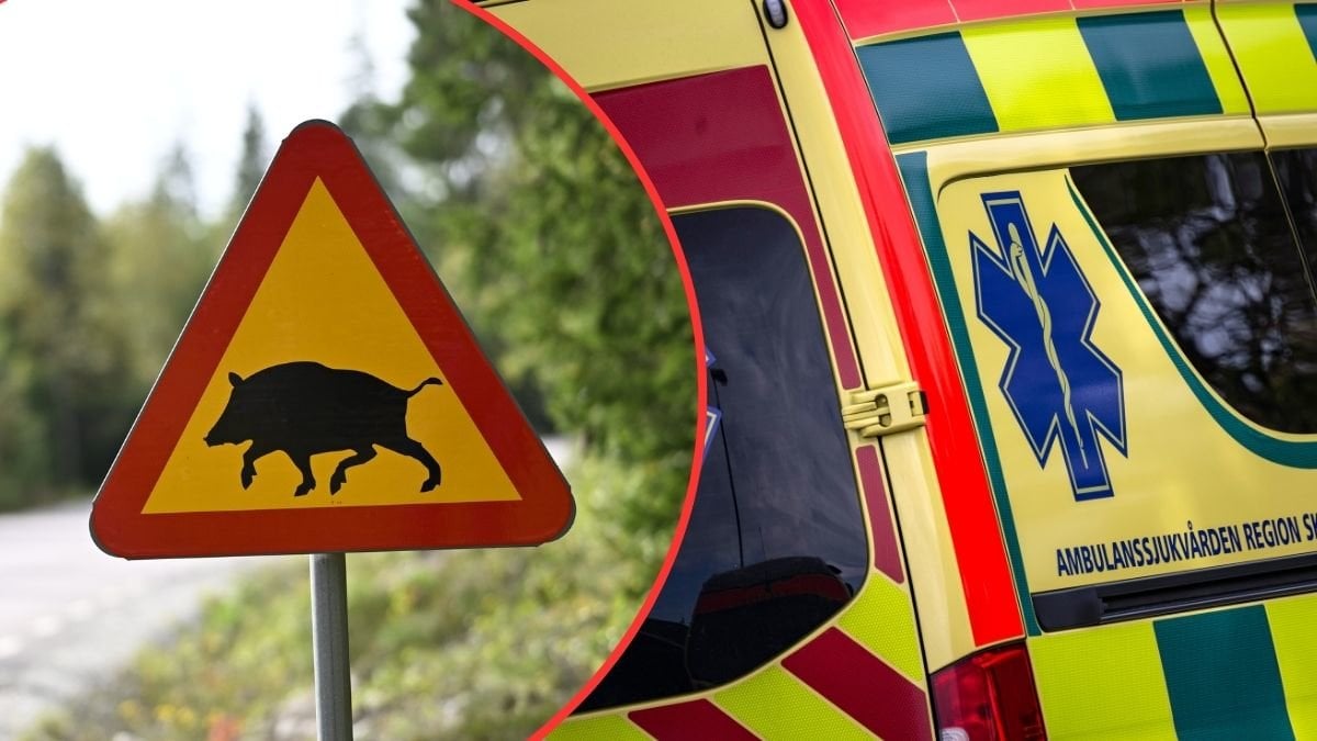 Vildsvinsskylt och ambulans