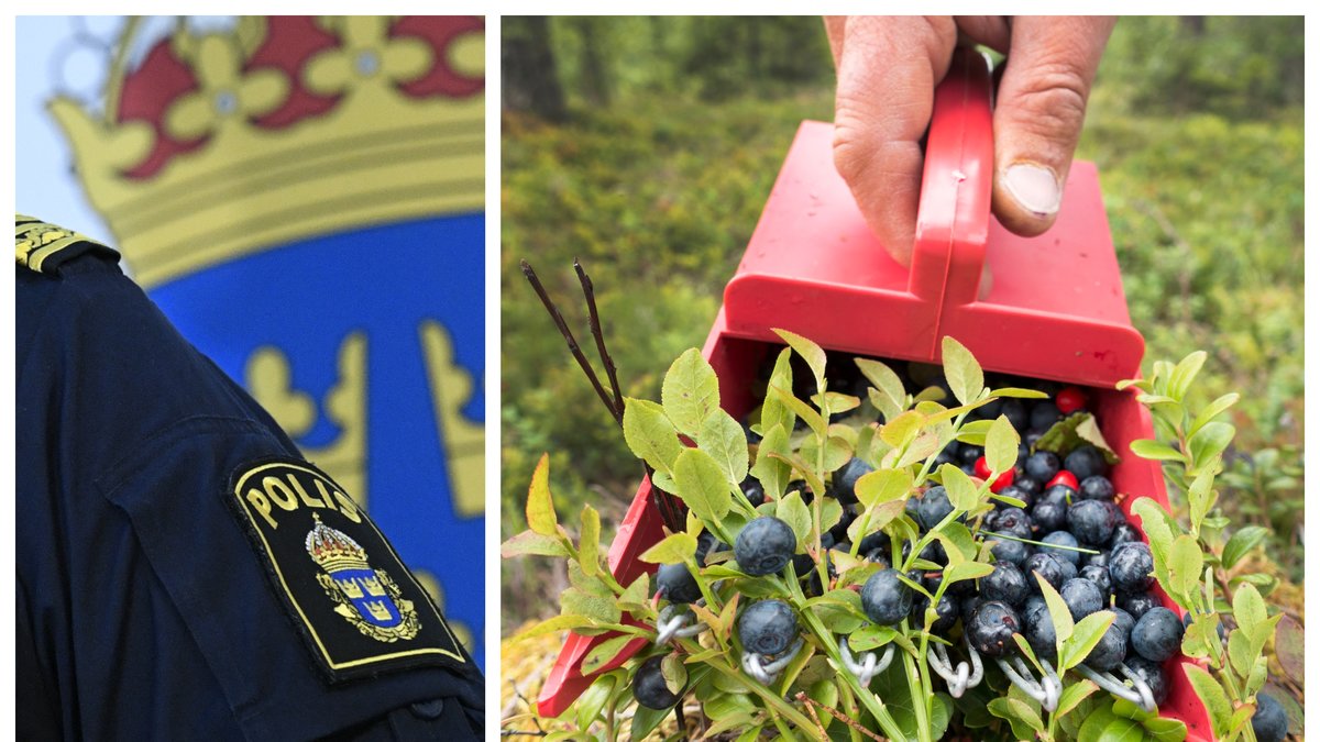 Polisen kommer med flera viktiga tips till den som ska ge sig ut i skog och mark.