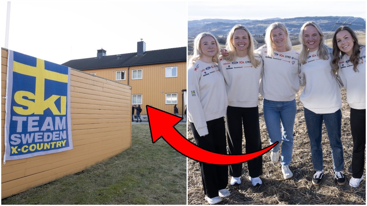 Så bor de svenska profilerna i Trondheim