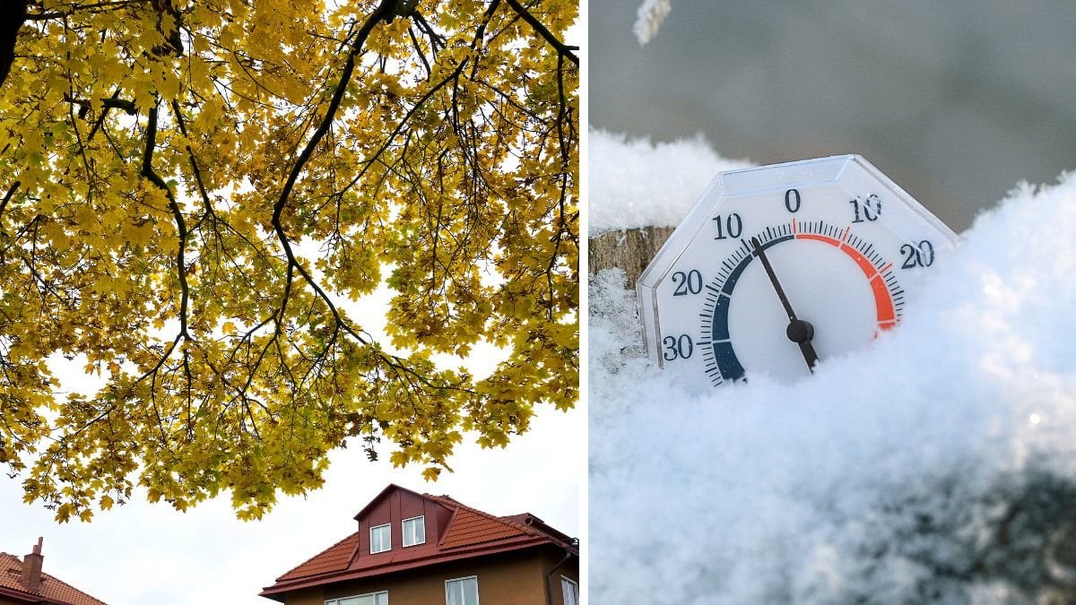 Höstlöv och termometer.