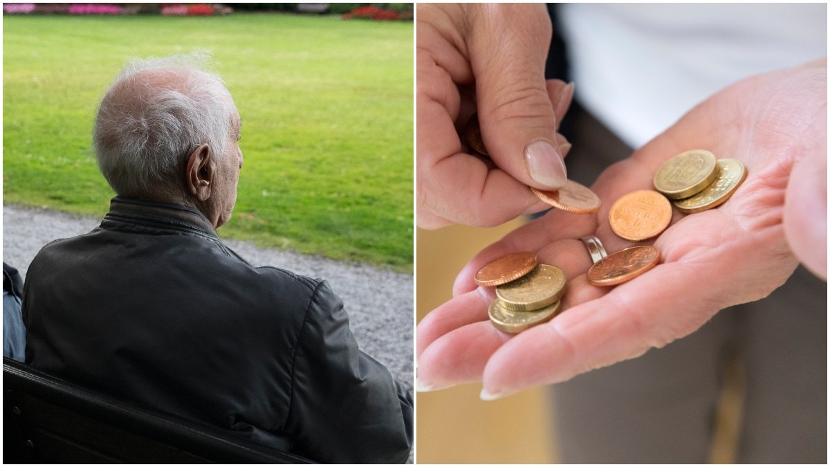 Seniorerna vill att tre krav uppfylls för att äldre ska ha en trygg pension.