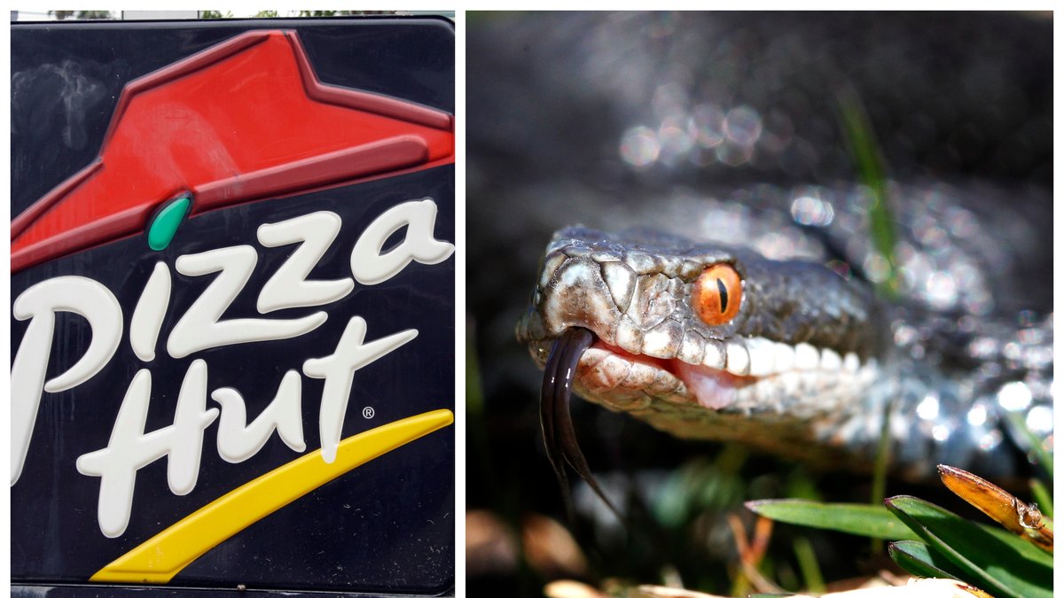 Pizza Hut i Hongkong lanserar en pizza med ormkött.