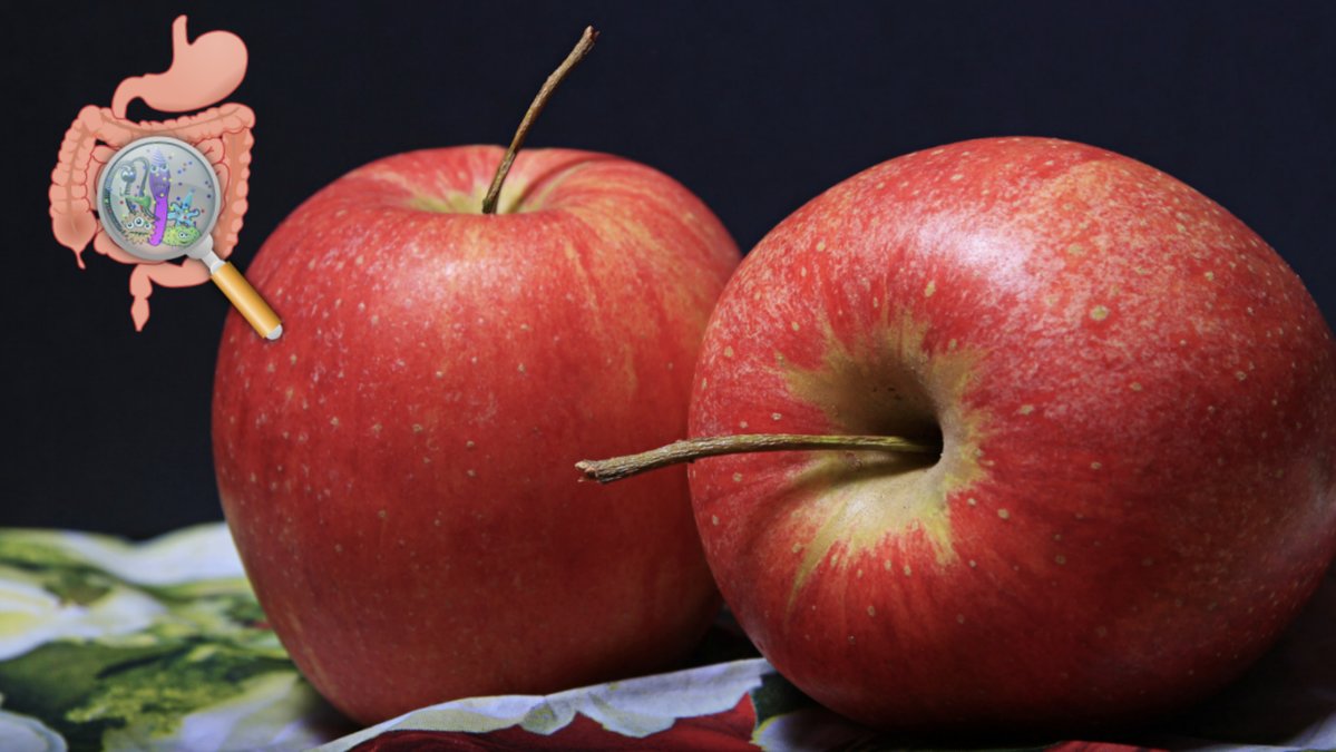 Applen-innehaller-miljontals-bakterier