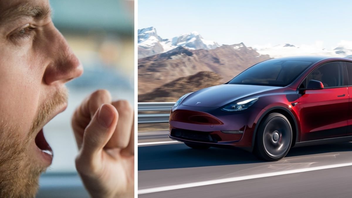 Sov i Tesla