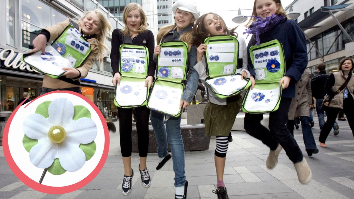 Så köper du majblomman 2019 och så mycket kostar den