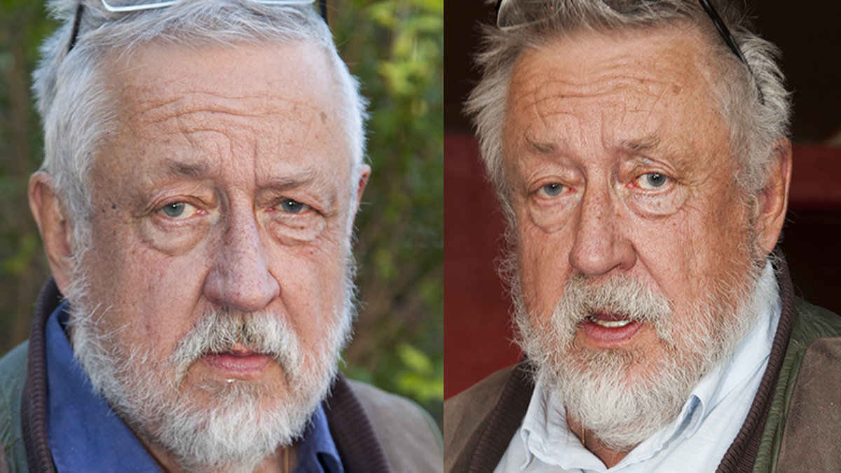 Leif GW Persson
