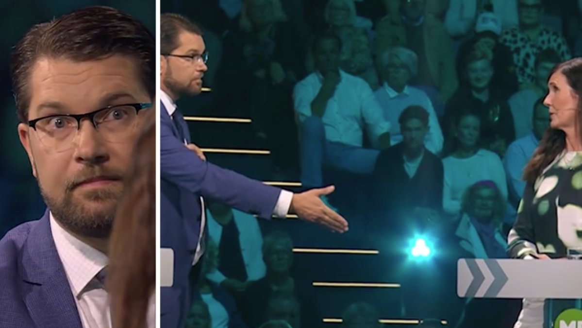 Jimmie Åkesson sträckte ut sin hand till Stenevi - men blev nobbad.
